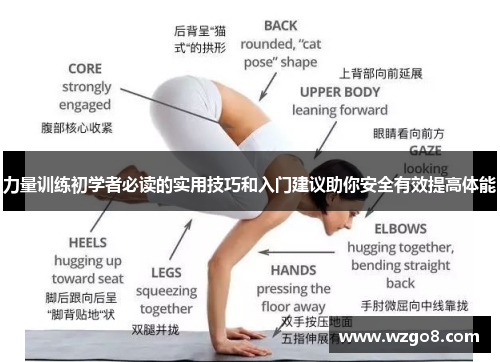 力量训练初学者必读的实用技巧和入门建议助你安全有效提高体能